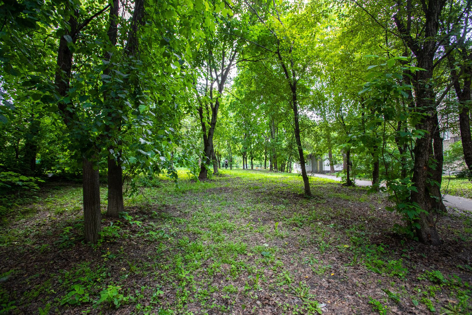 лыткарино, благоустройство, голосование,