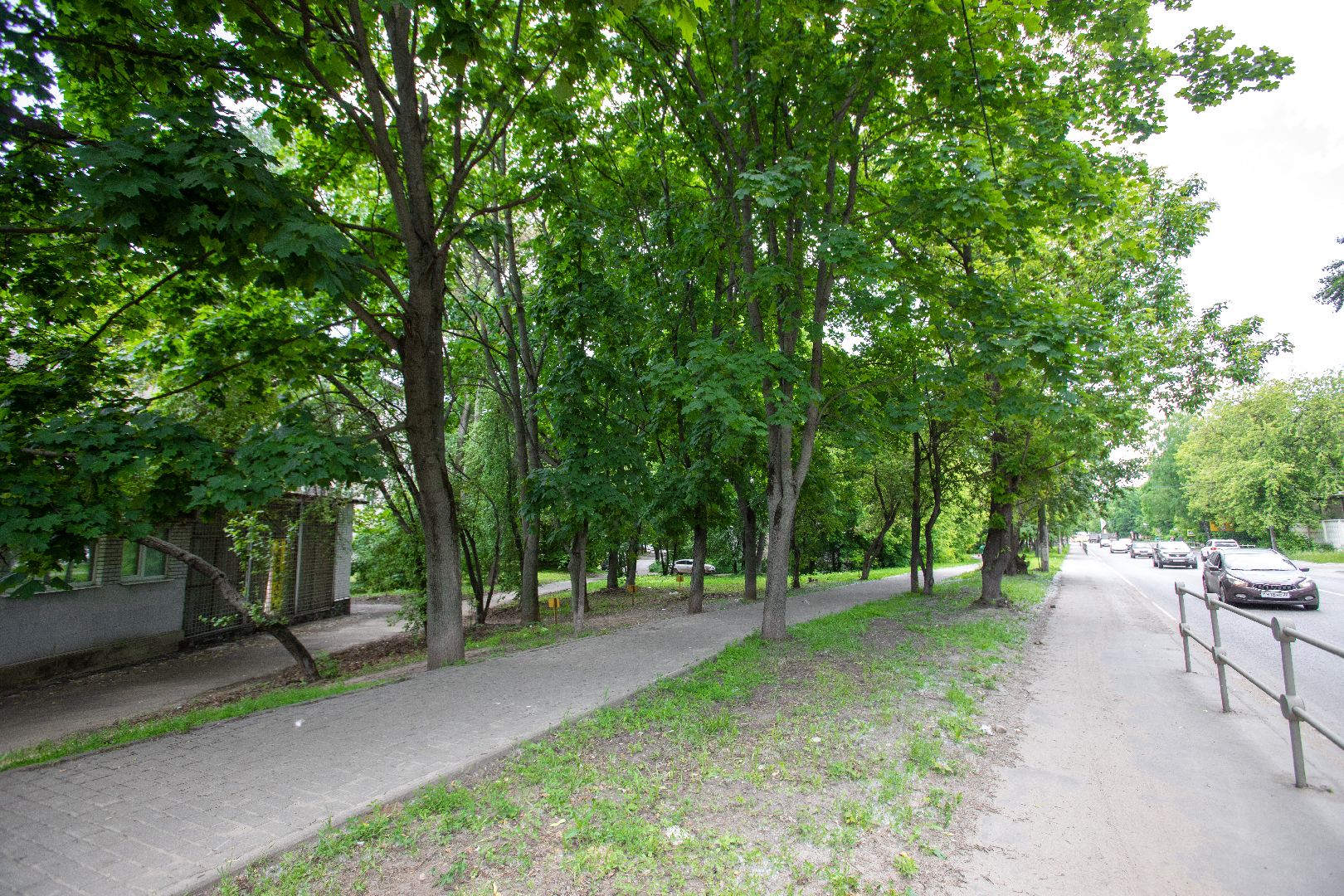 лыткарино, благоустройство, голосование,