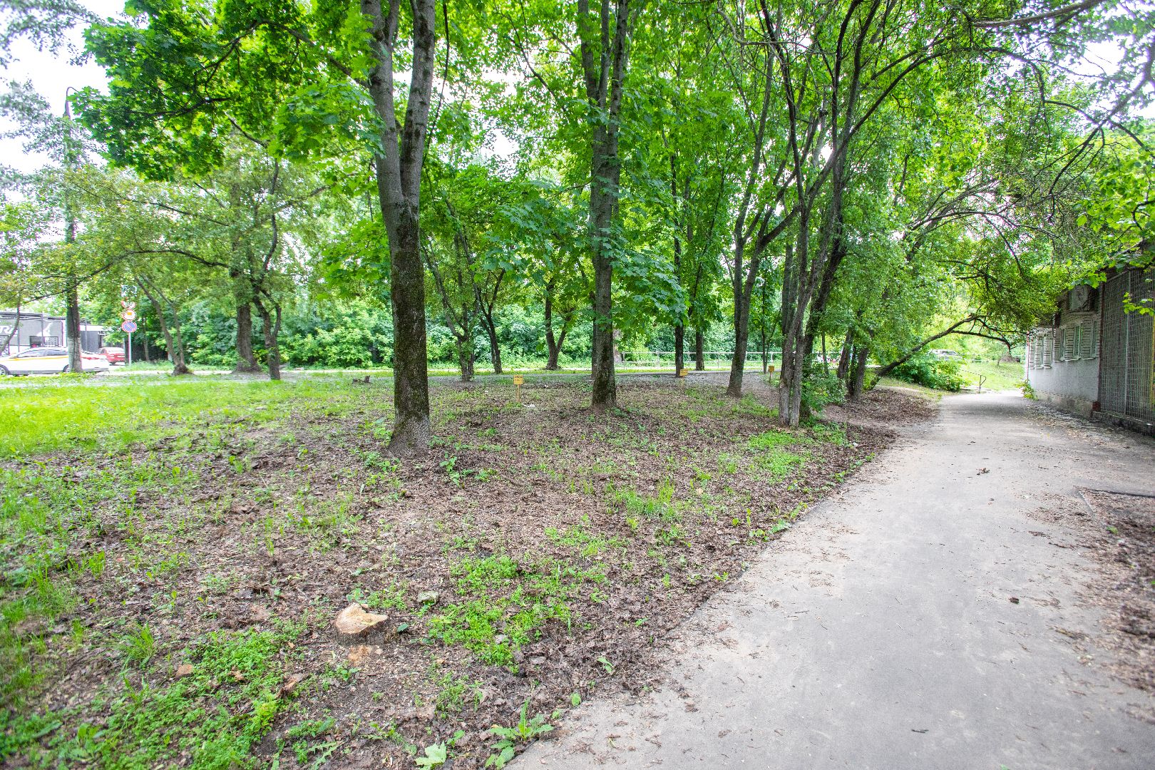 лыткарино, благоустройство, голосование,