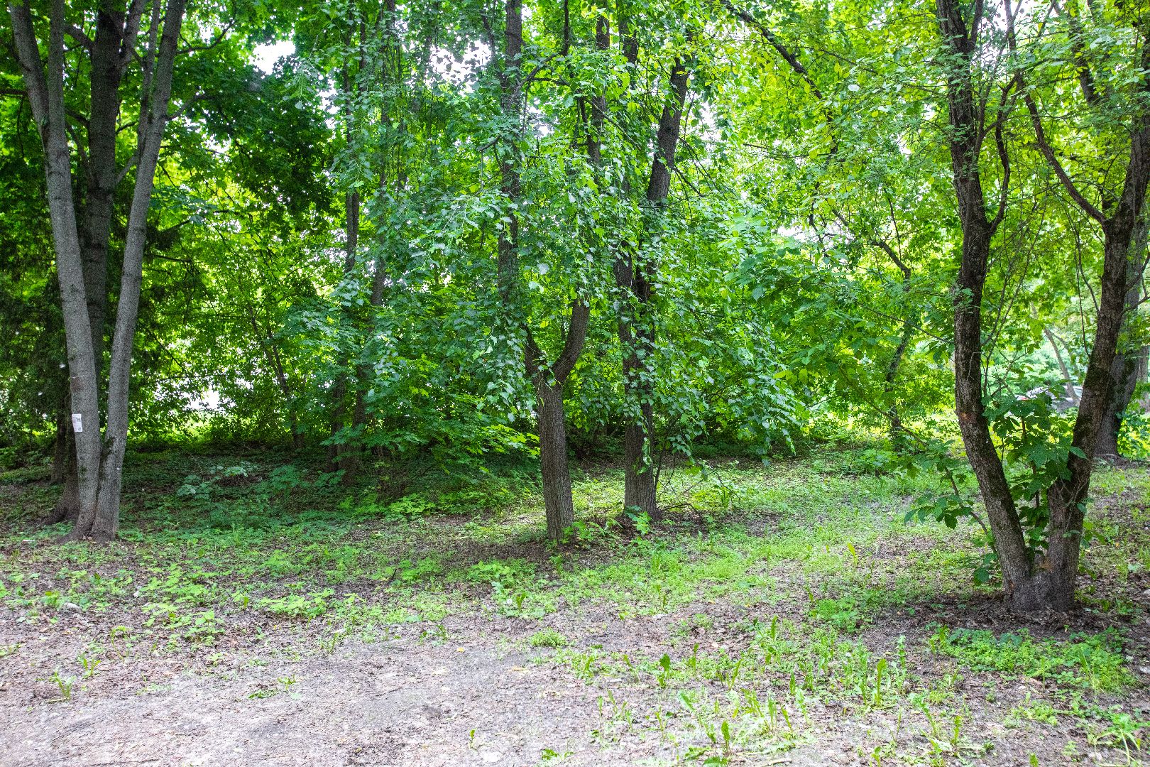 лыткарино, благоустройство, голосование,