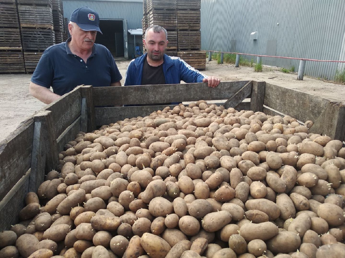 Дмитров, ЗАО Куликово, Минсельхоз МО