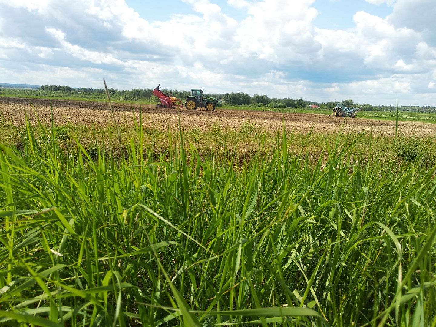 Дмитров, ЗАО Куликово, Минсельхоз МО