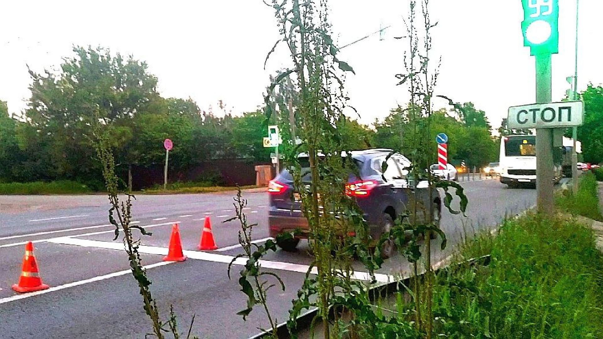 Дорога, разметка, остановка, инфраструктура