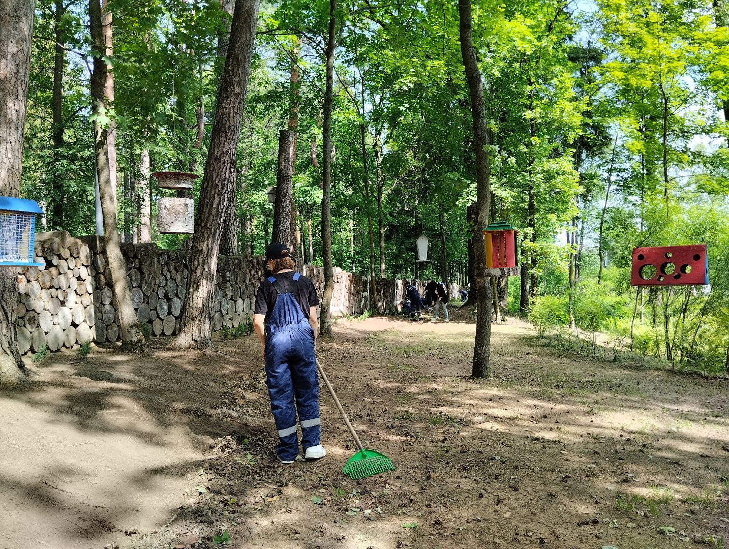 Трудовые отряды, благоустройство, парк