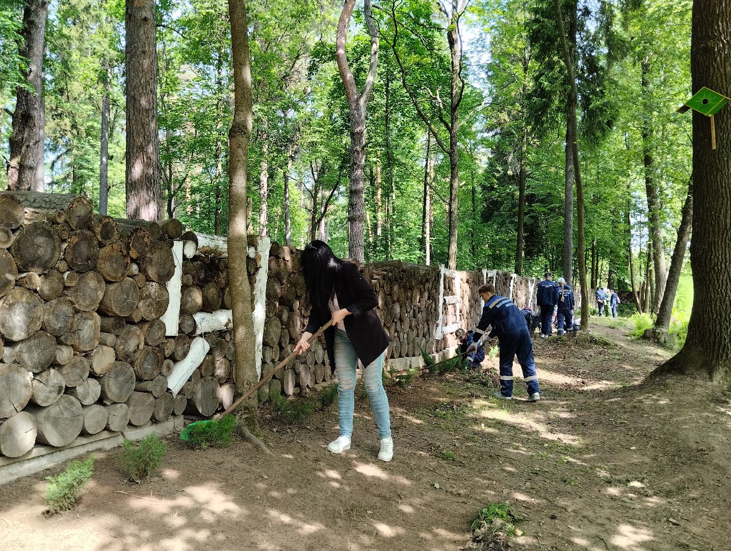 Трудовые отряды, благоустройство, парк