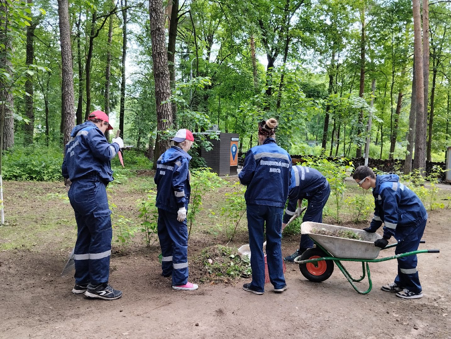 Трудовые отряды, благоустройство, парк