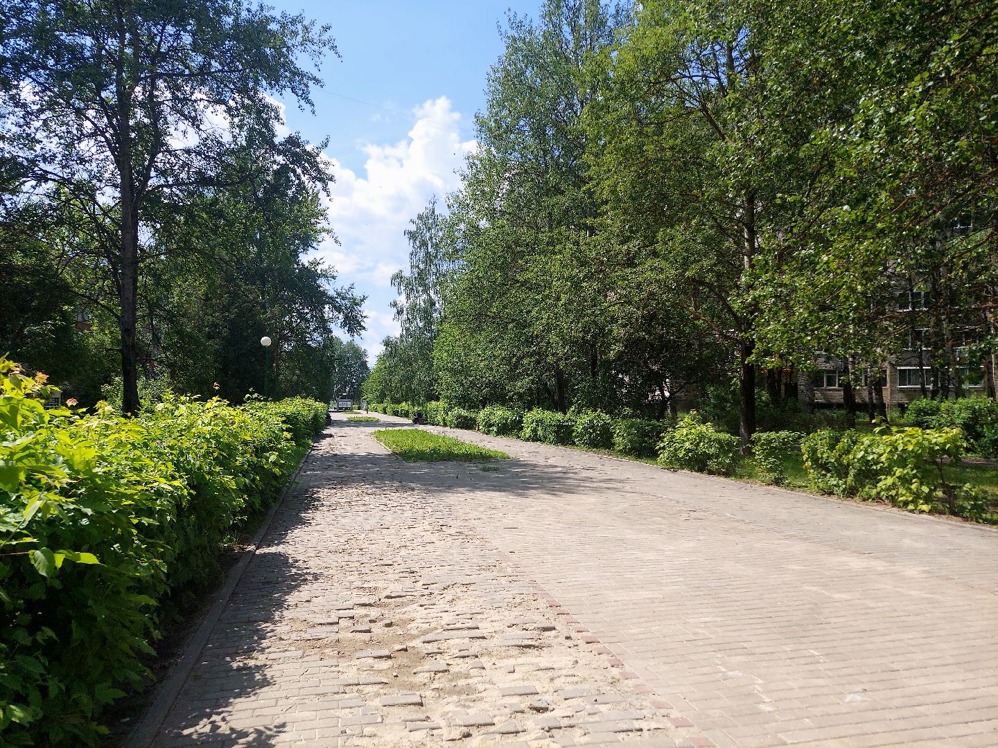 благоустройство, всероссийское голосование