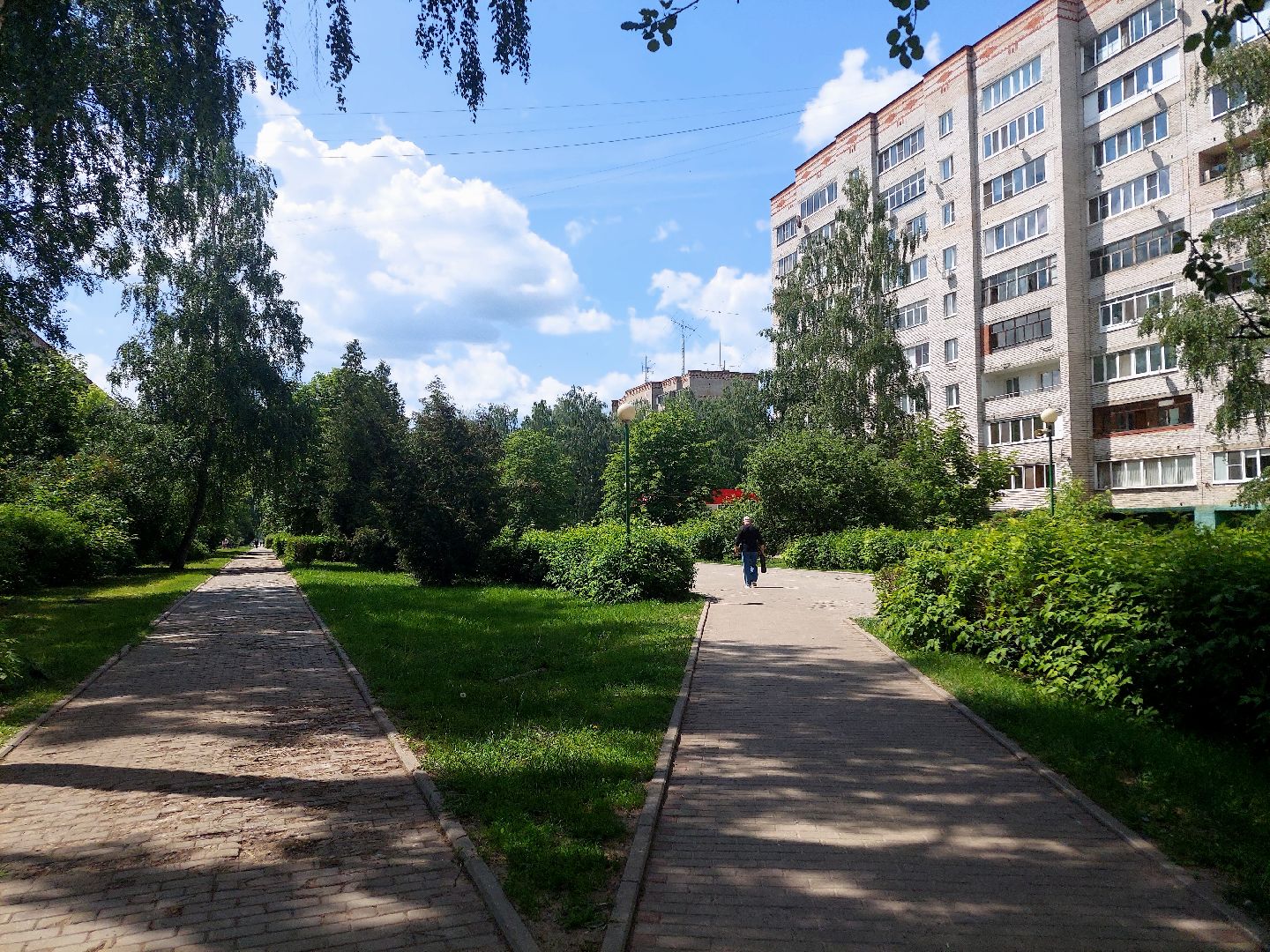 благоустройство, всероссийское голосование