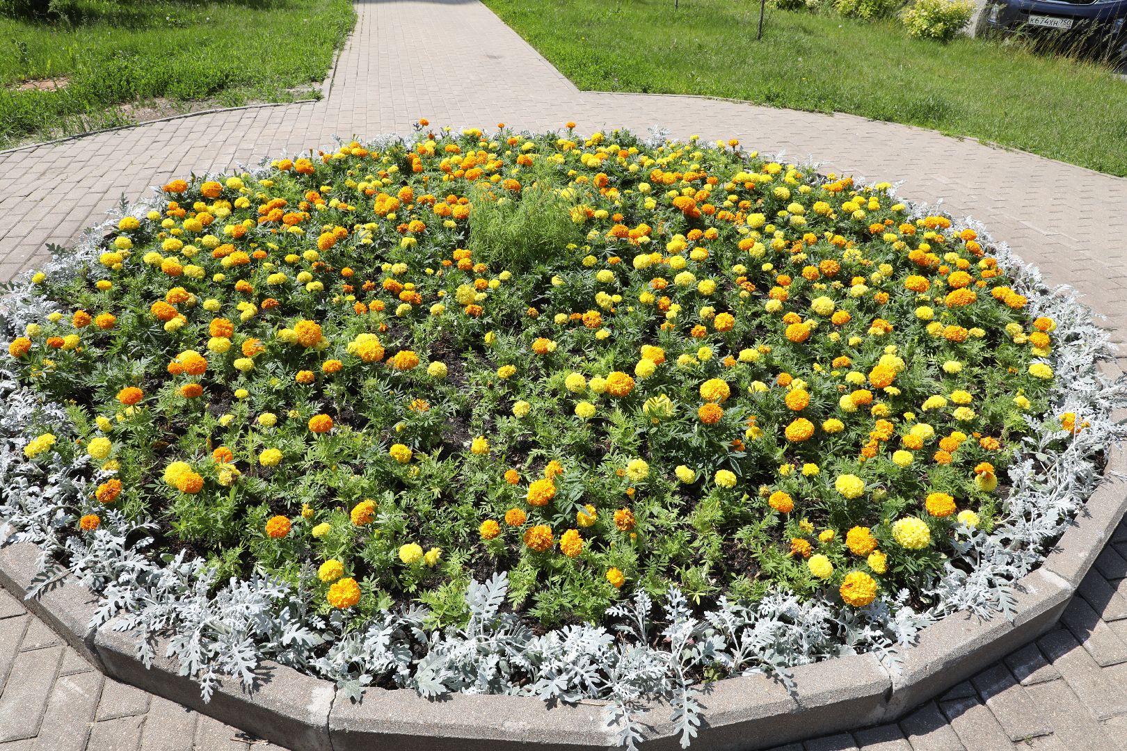 лыткарино, благоустройство, летний сезон,