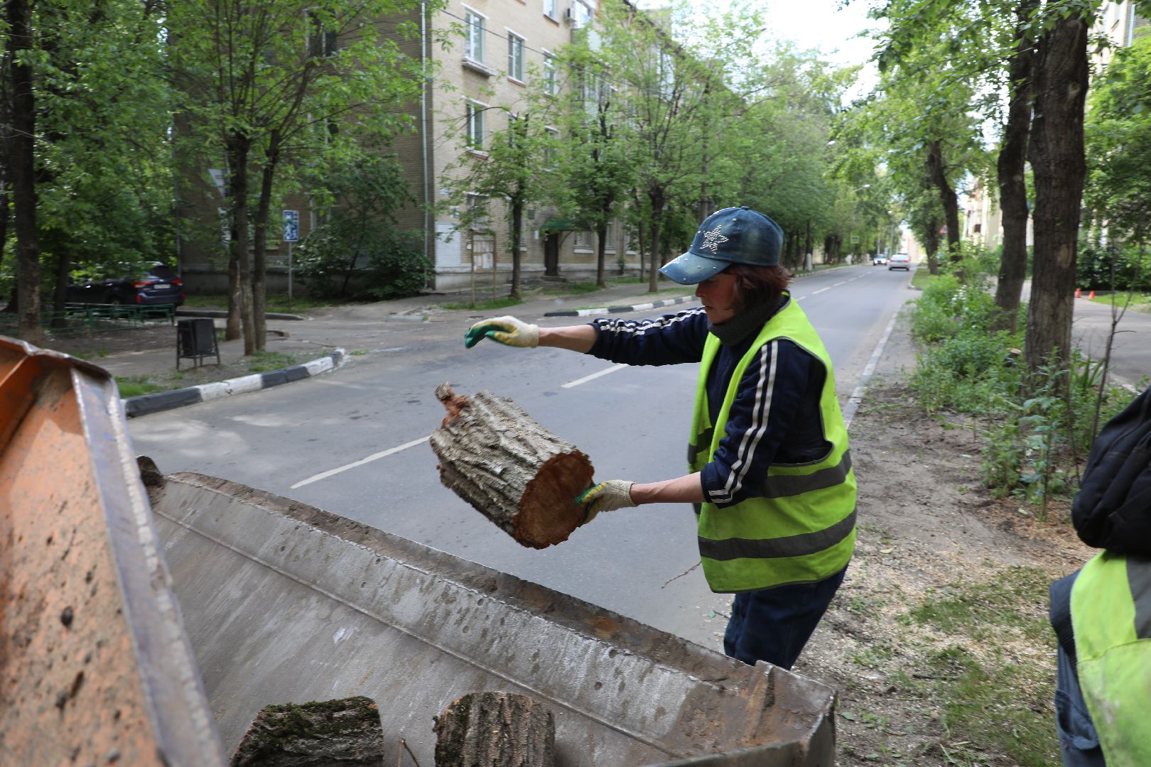 лыткарино, благоустройство, летний сезон,