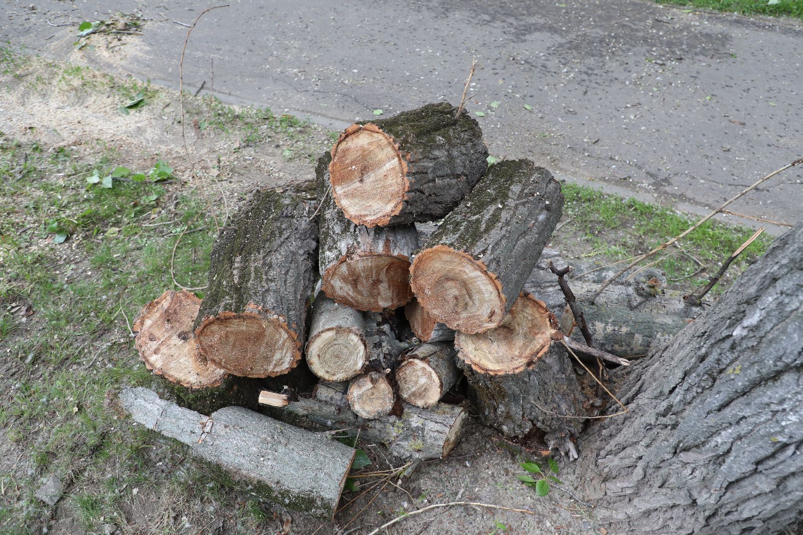 лыткарино, благоустройство, летний сезон,