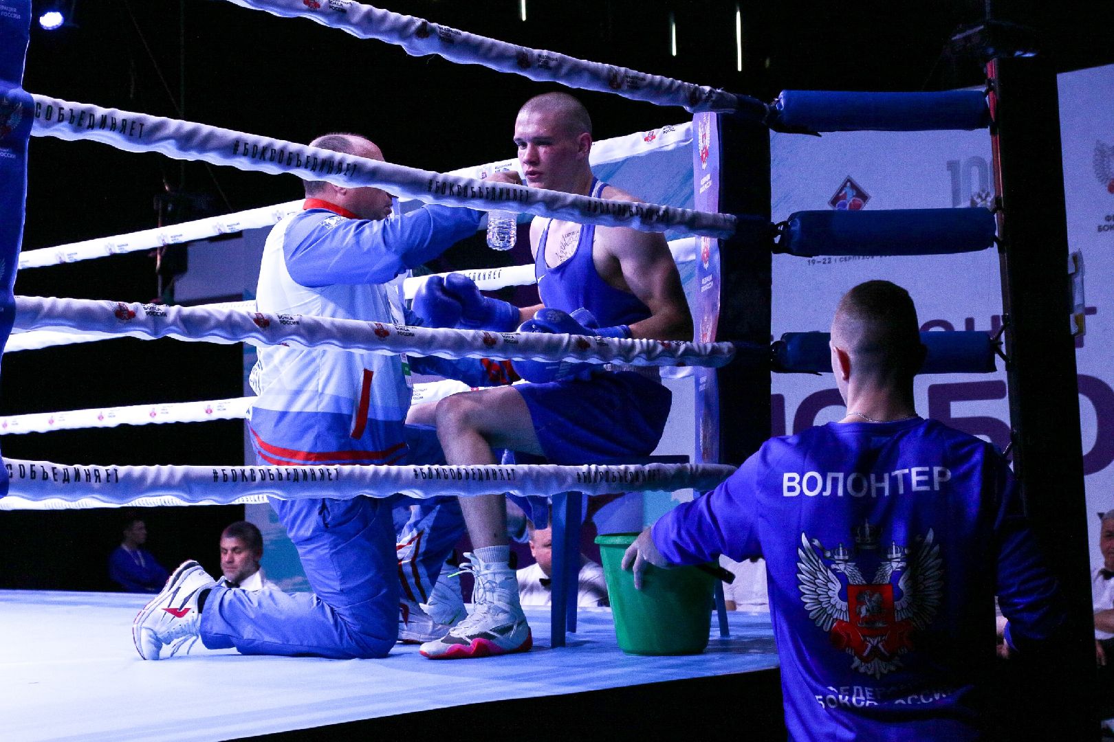 Россия, Серпухов, Москва, Санкт-Петербург, Иркутск, Дагестан, Белгород, Омск, Краснодар, Калининград, ЛНР, Московская область, спорт, бокс, Чудинов, Поветкин, чемпионат России