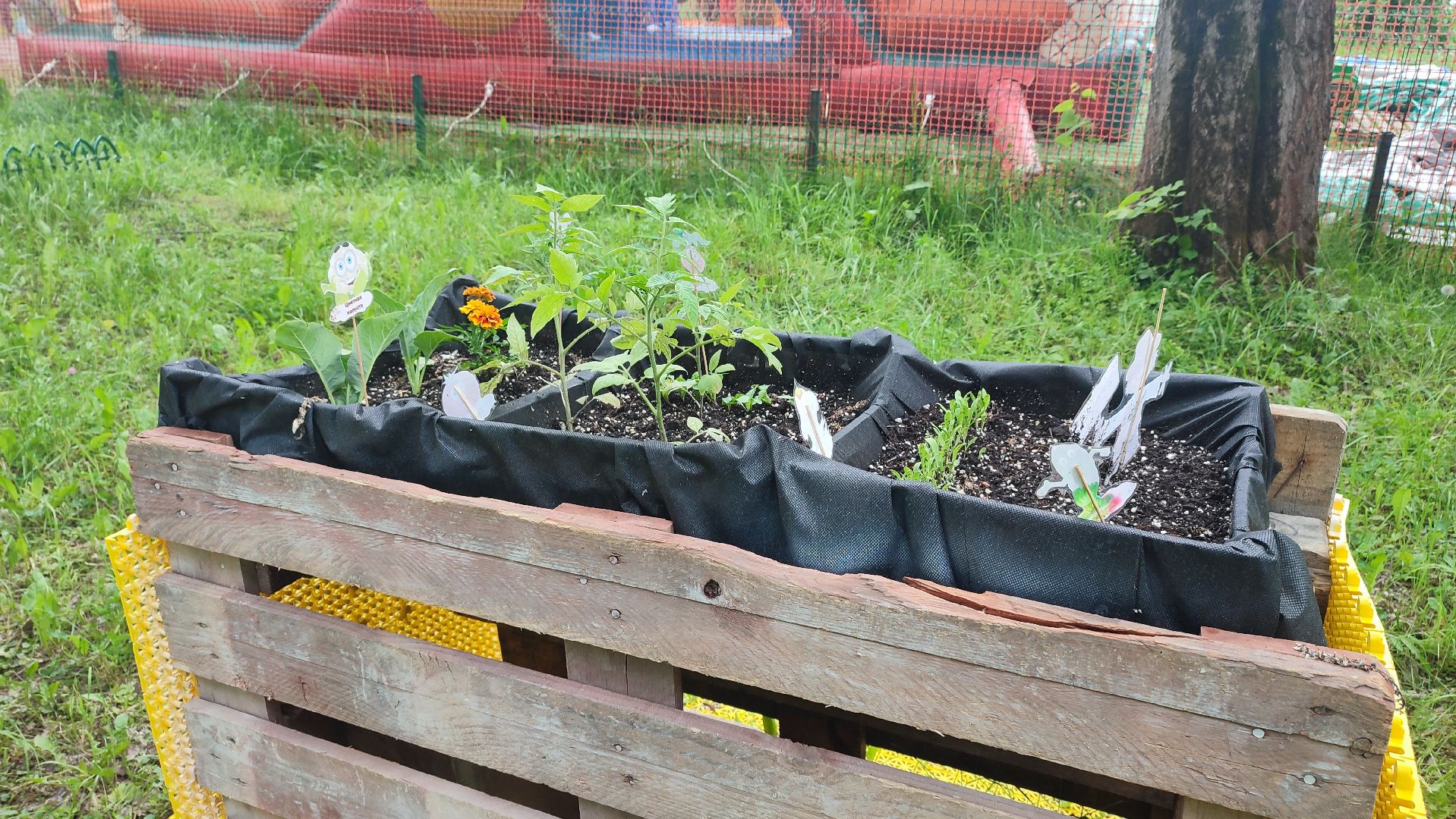 Кашира, парк, общественный огород, цветы, овощи, зелень