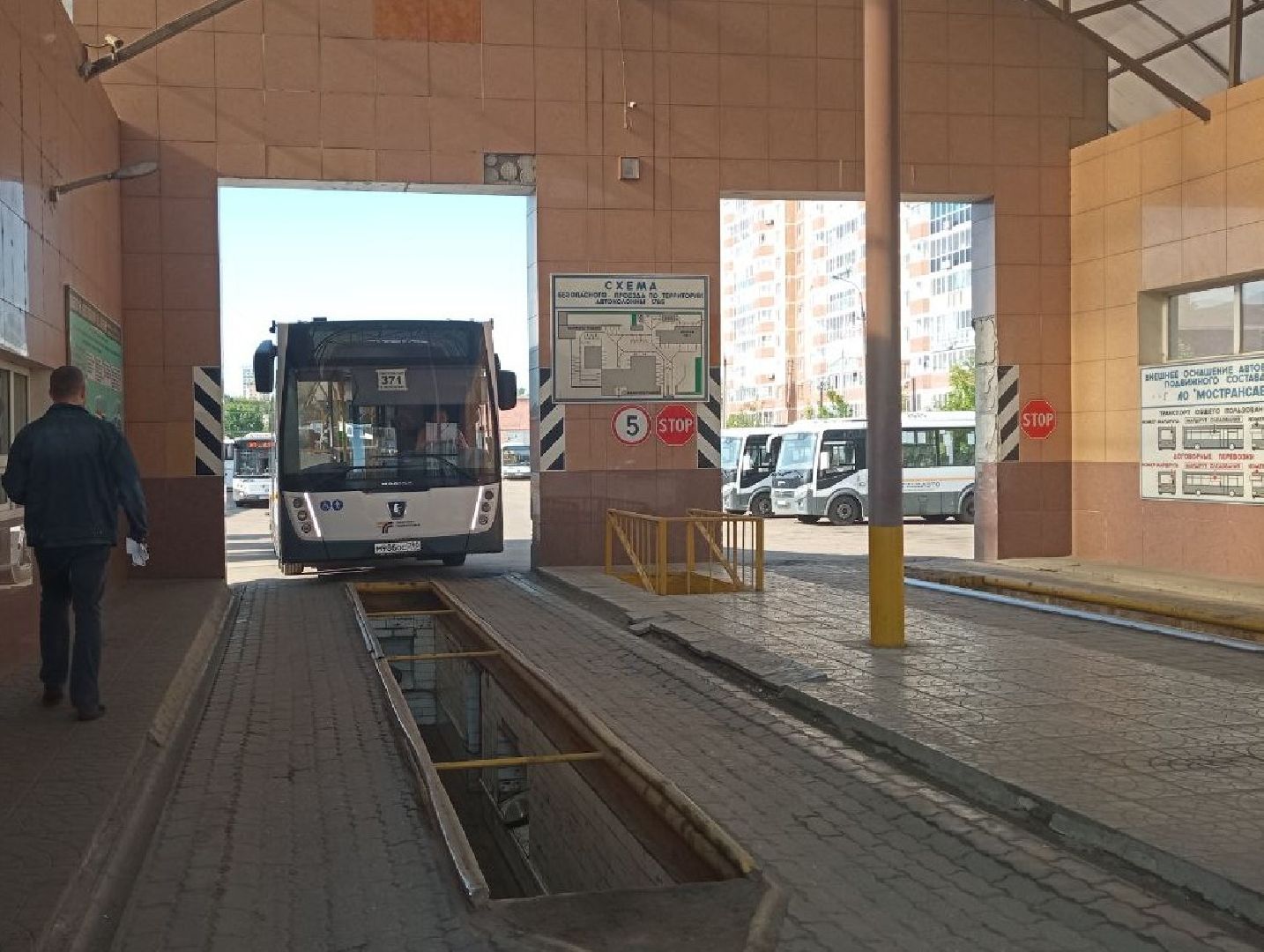 транспорт, автобусы, Мострансавто, Минтранс, Лосино-Петровский