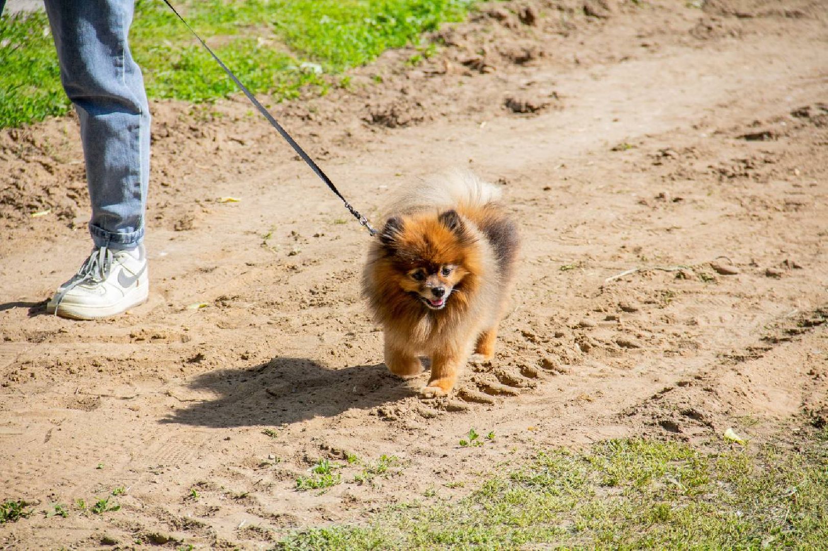 Подольск, пляж