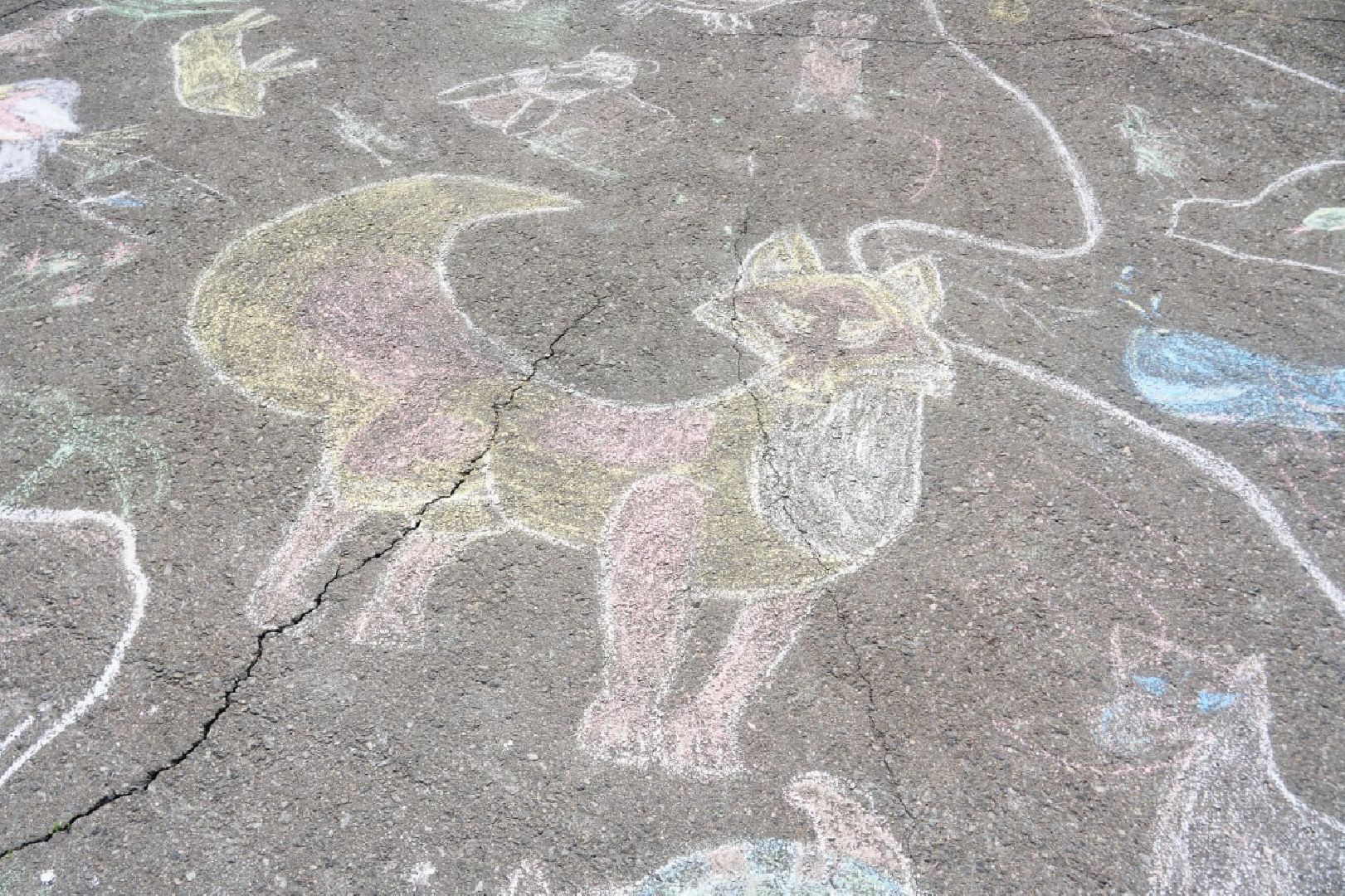 Сергиев Посад, Сергиево-Посадский городской округ, Дети, Международный день защиты детей, Праздник, Парки, Лето в Подмосковье, Радость