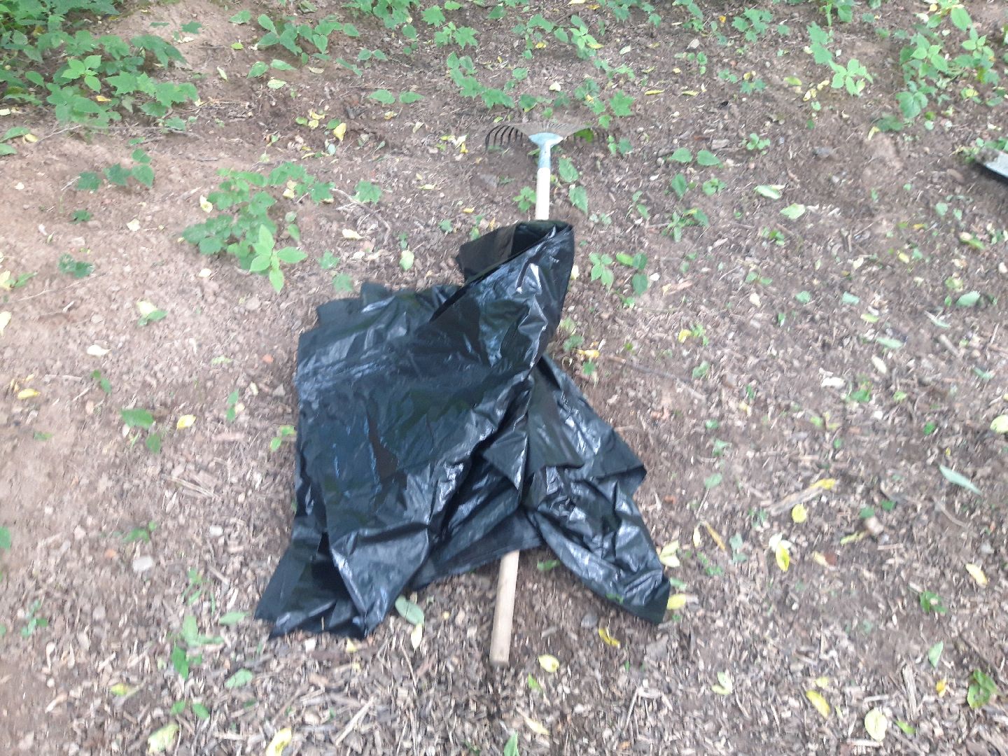 доброе дело, свалка,