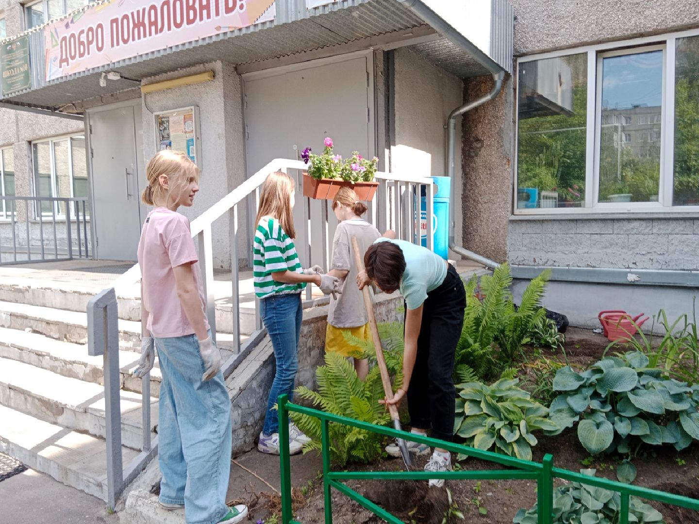 агрофирма, Поиск, Город-сад, движение, цветы, рассада