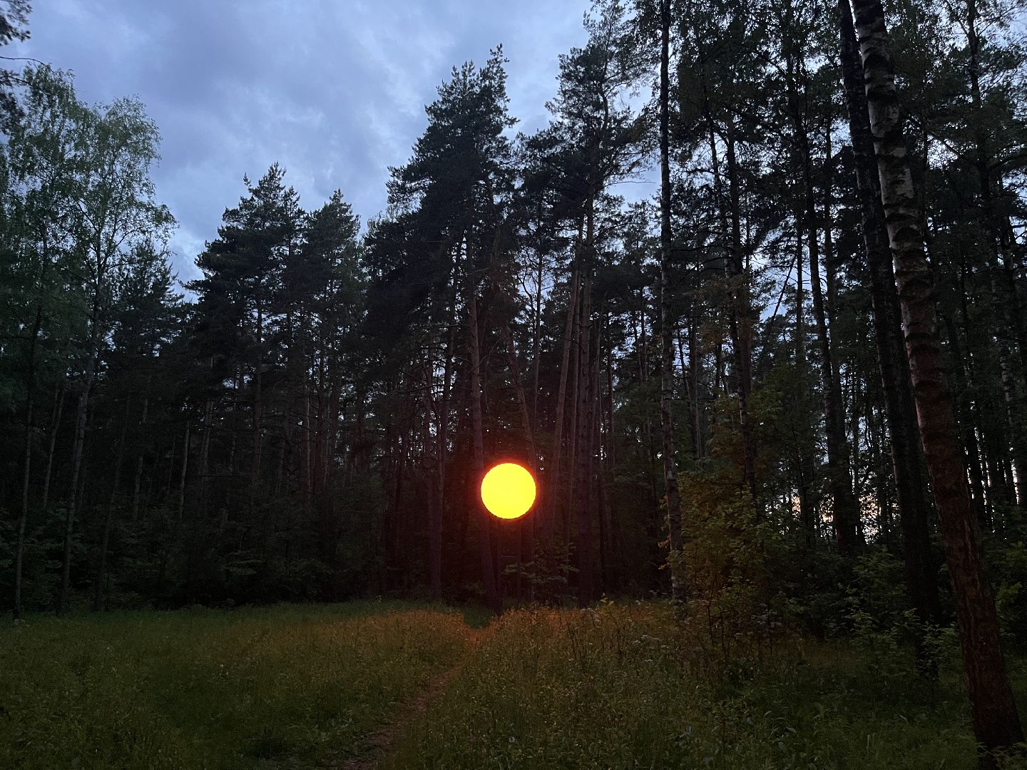 Одинцово, парк малевича, искусство, арт, выставка, парк,