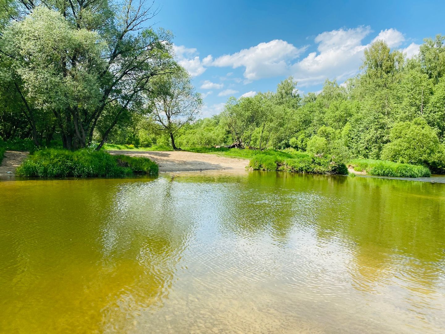 Домодедово, экотропа, экскурсия,