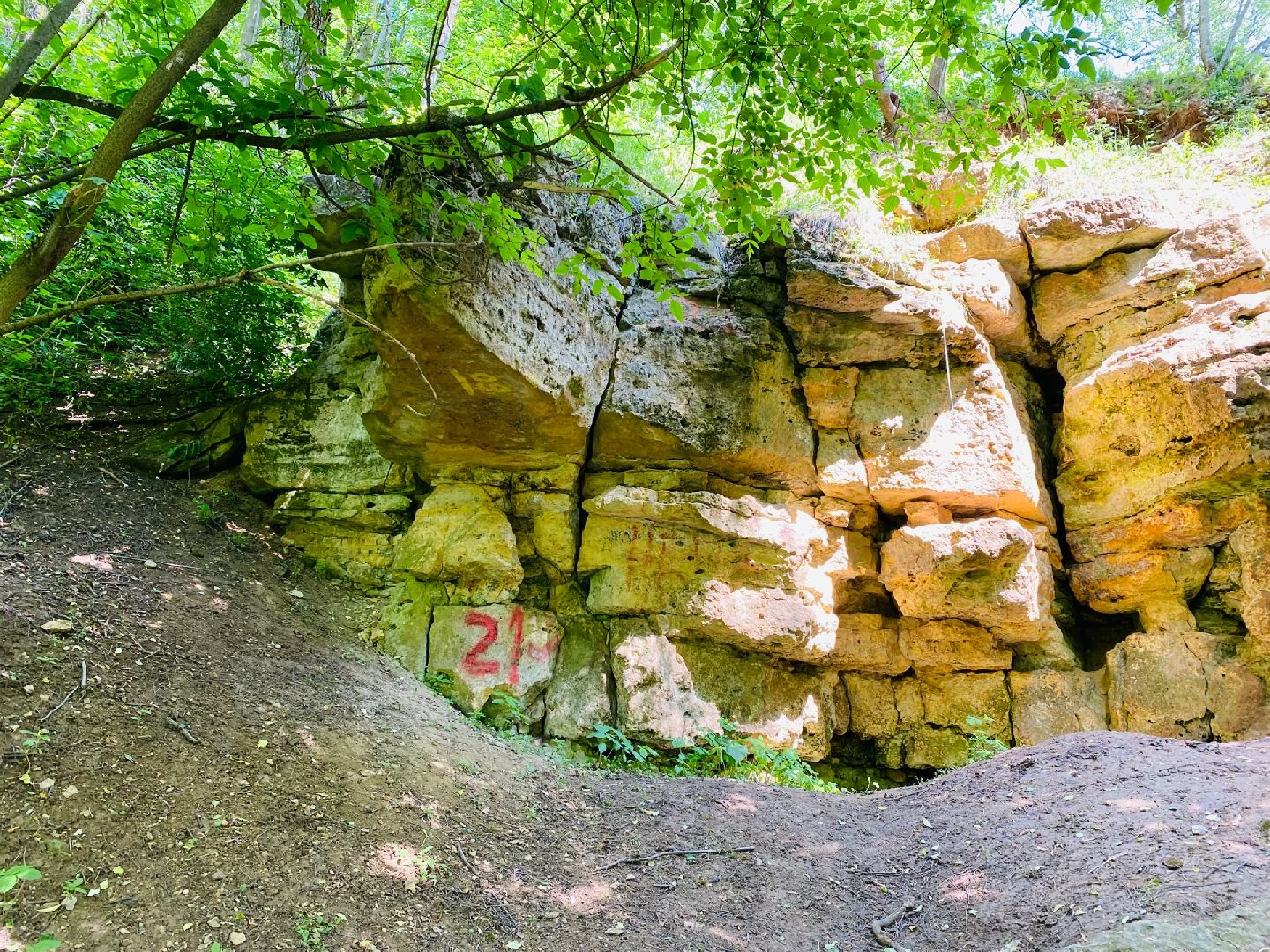 Домодедово, экотропа, экскурсия,