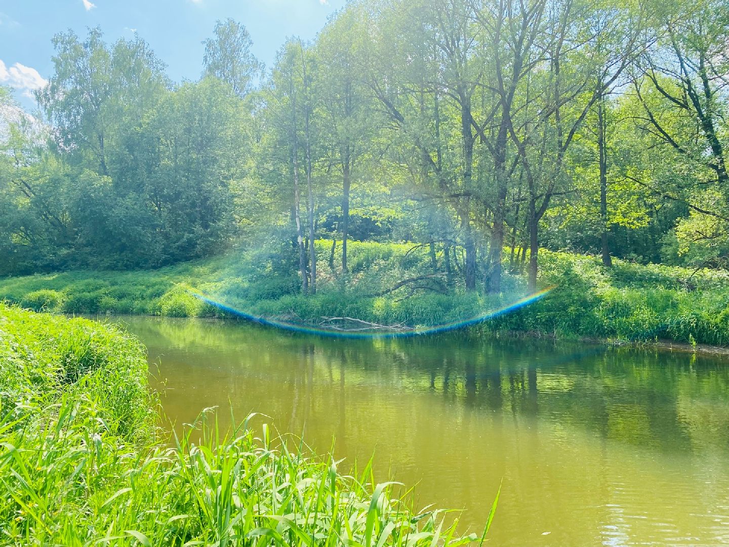 Домодедово, экотропа, экскурсия,