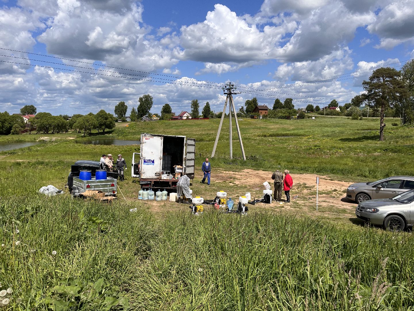 Шаховская, борщевик, катастрофа