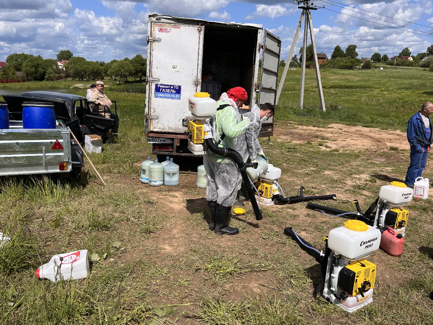 Шаховская, борщевик, катастрофа