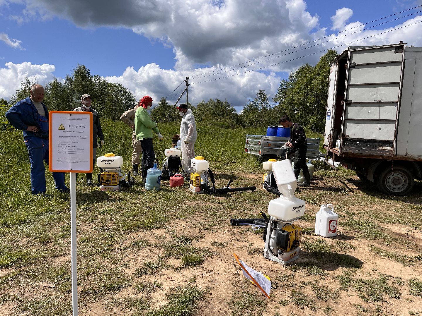 Шаховская, борщевик, катастрофа