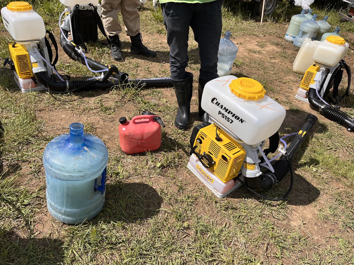 Шаховская, борщевик, катастрофа