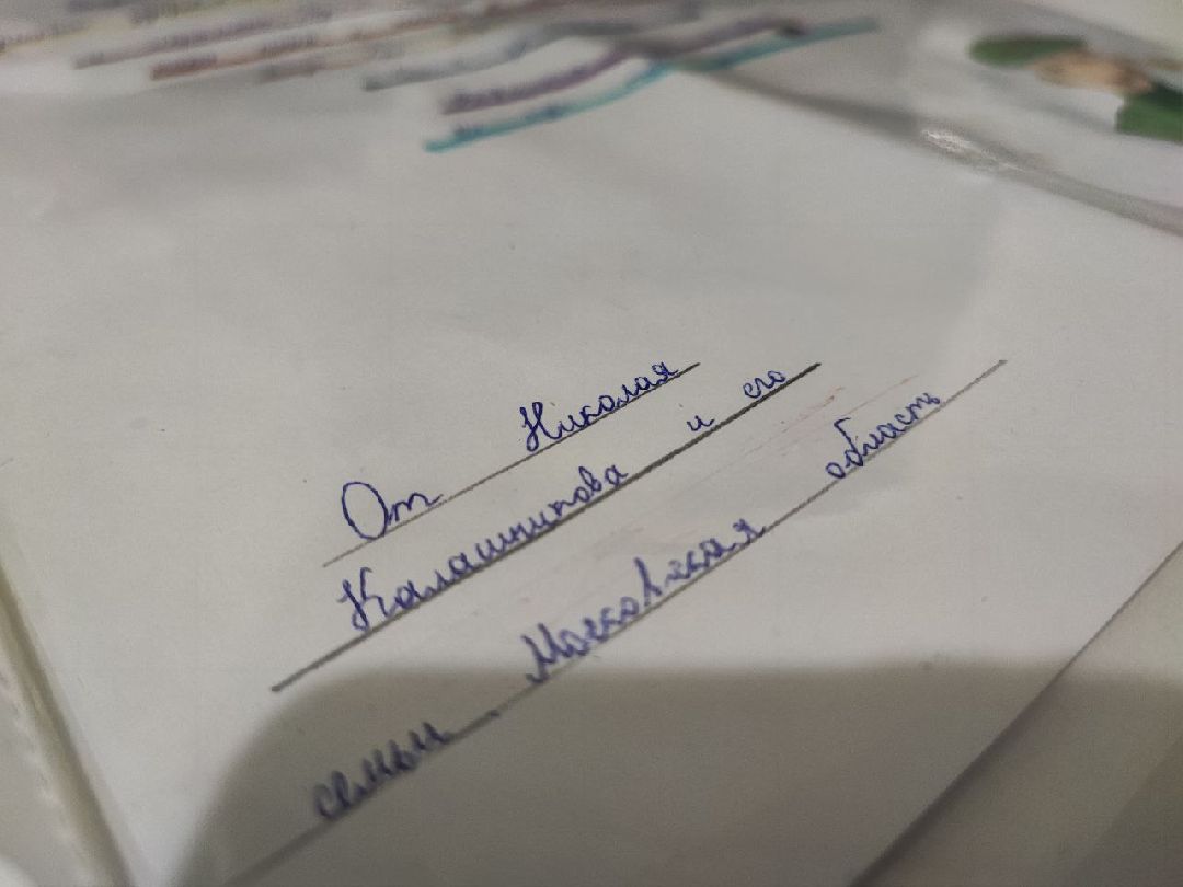 СВО, спецоперация, Серебряные Пруды, дети,