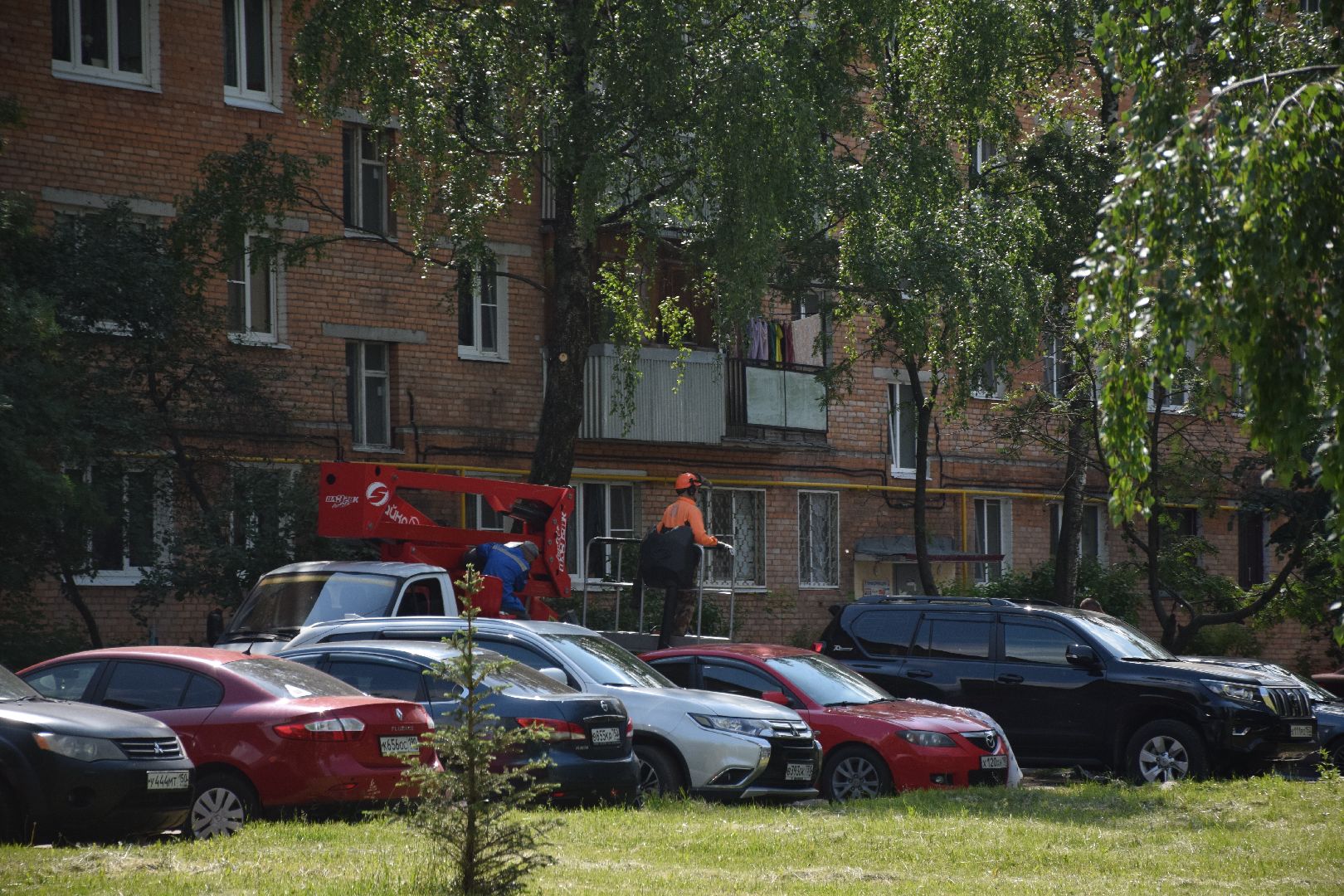 Павловский Посад, городской округ Павловский Посад, благоустройство, деревья, перемены