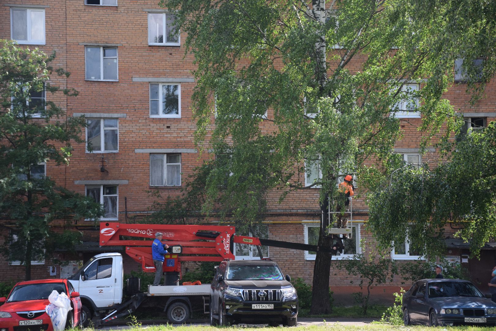 Павловский Посад, городской округ Павловский Посад, благоустройство, деревья, перемены