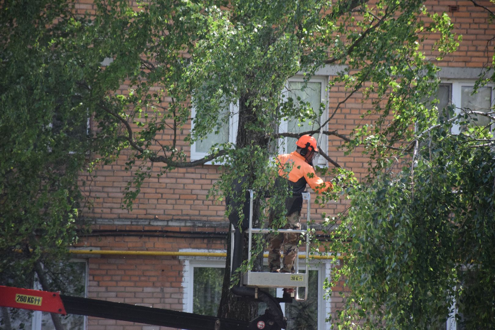 Павловский Посад, городской округ Павловский Посад, благоустройство, деревья, перемены