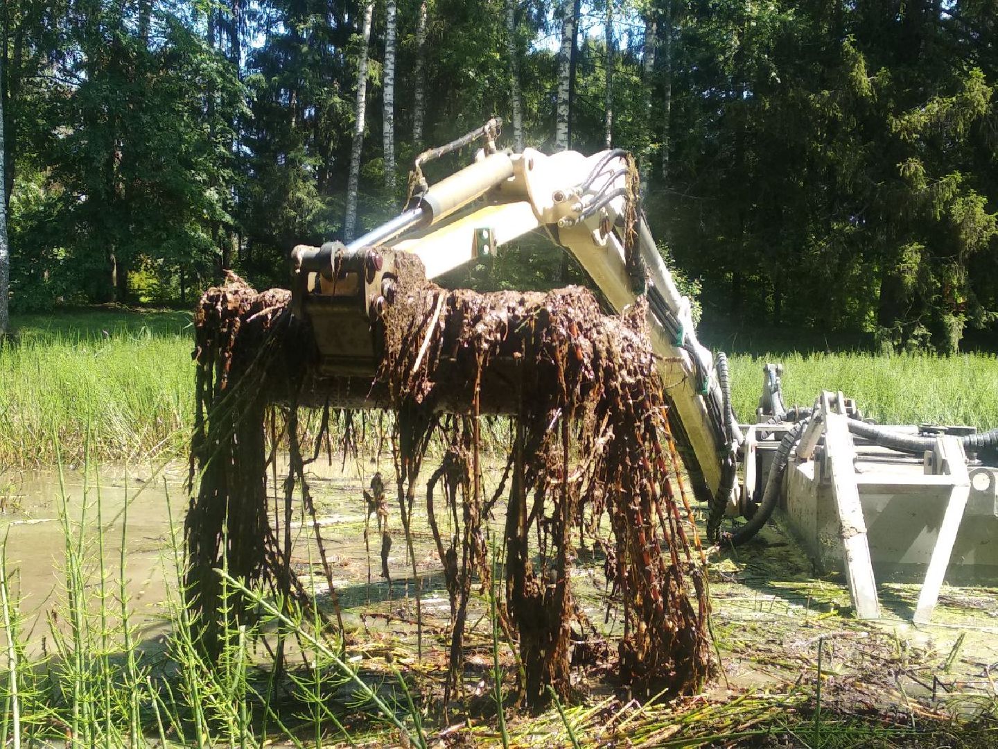 Дмитров, Свистуха, Мин благоустройства МО