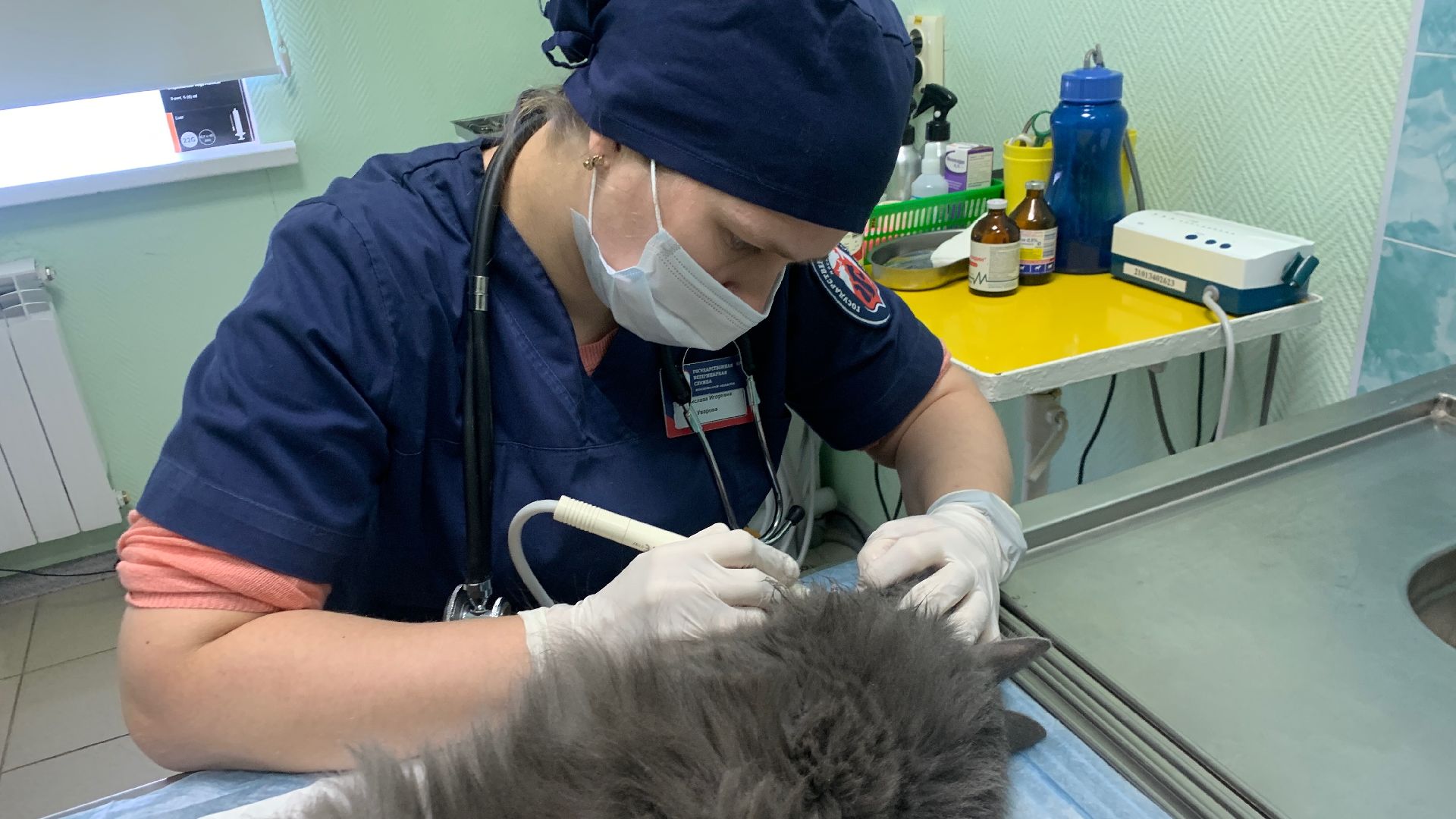 Ступино, ветстанция, стоматолог для животных