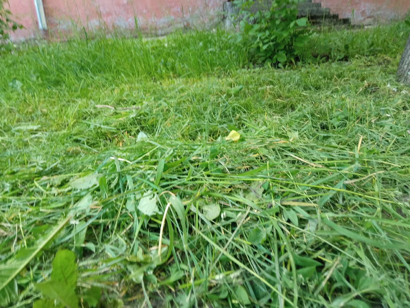 Павловский посад, городской округ Павловский Посад, трава, покос, уборка