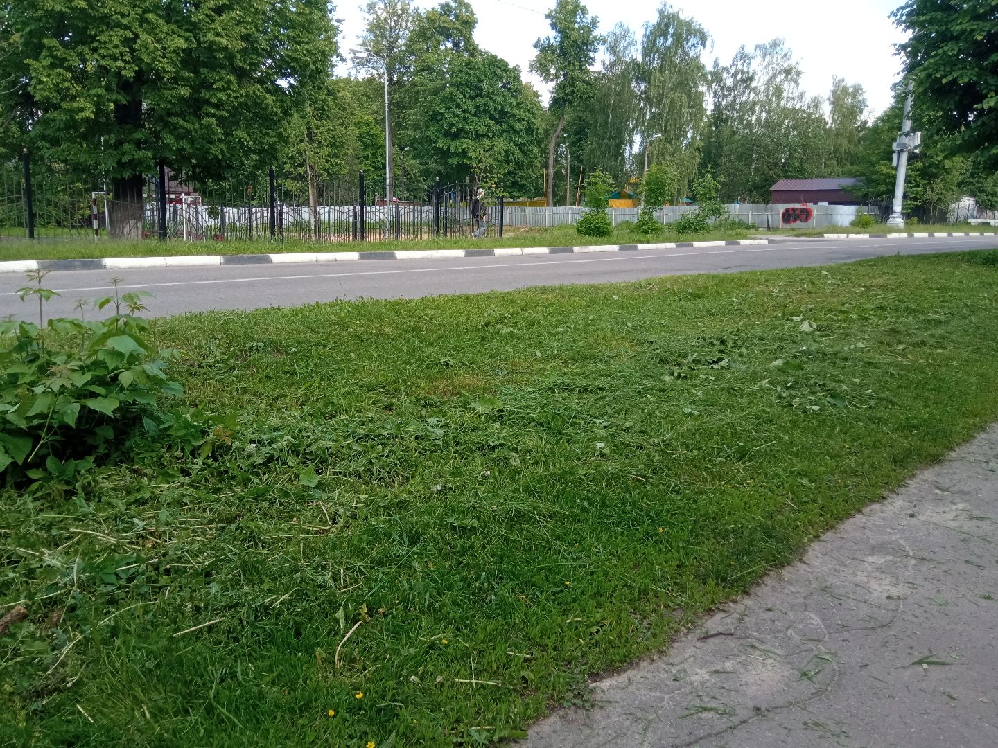 Павловский посад, городской округ Павловский Посад, трава, покос, уборка