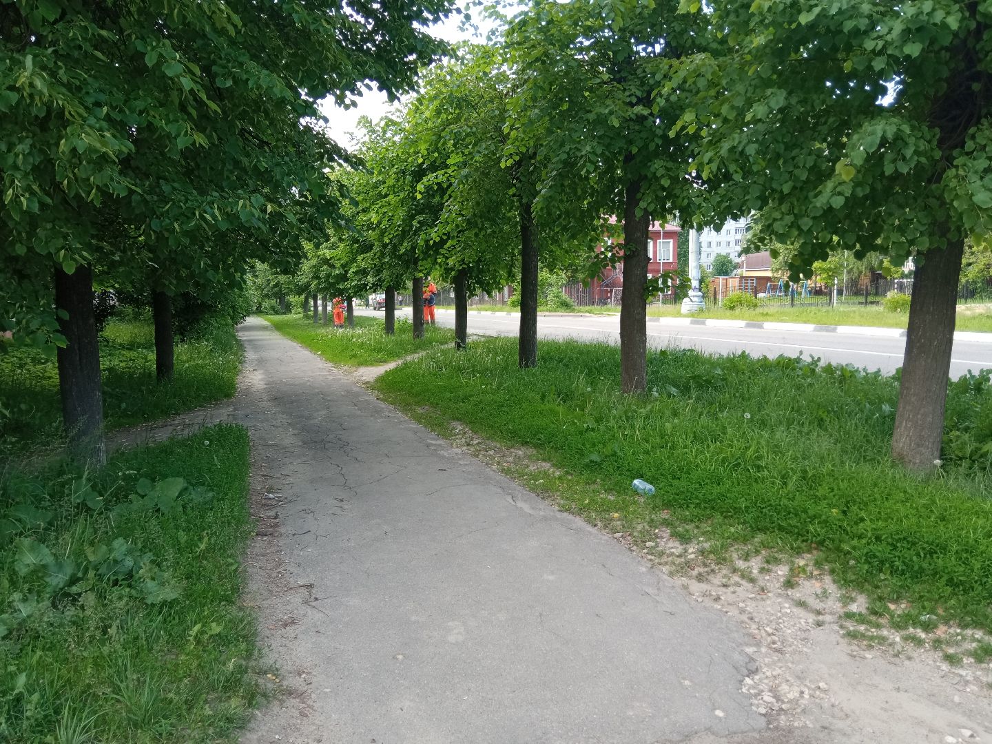 Павловский посад, городской округ Павловский Посад, трава, покос, уборка