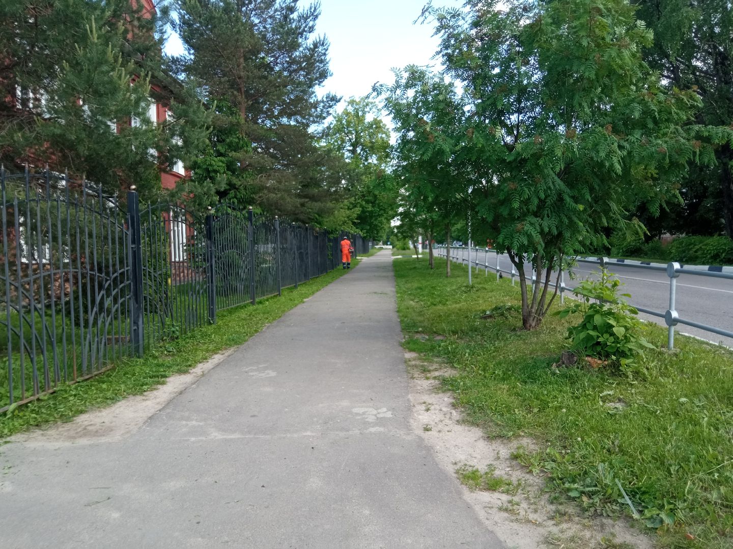 Павловский посад, городской округ Павловский Посад, трава, покос, уборка