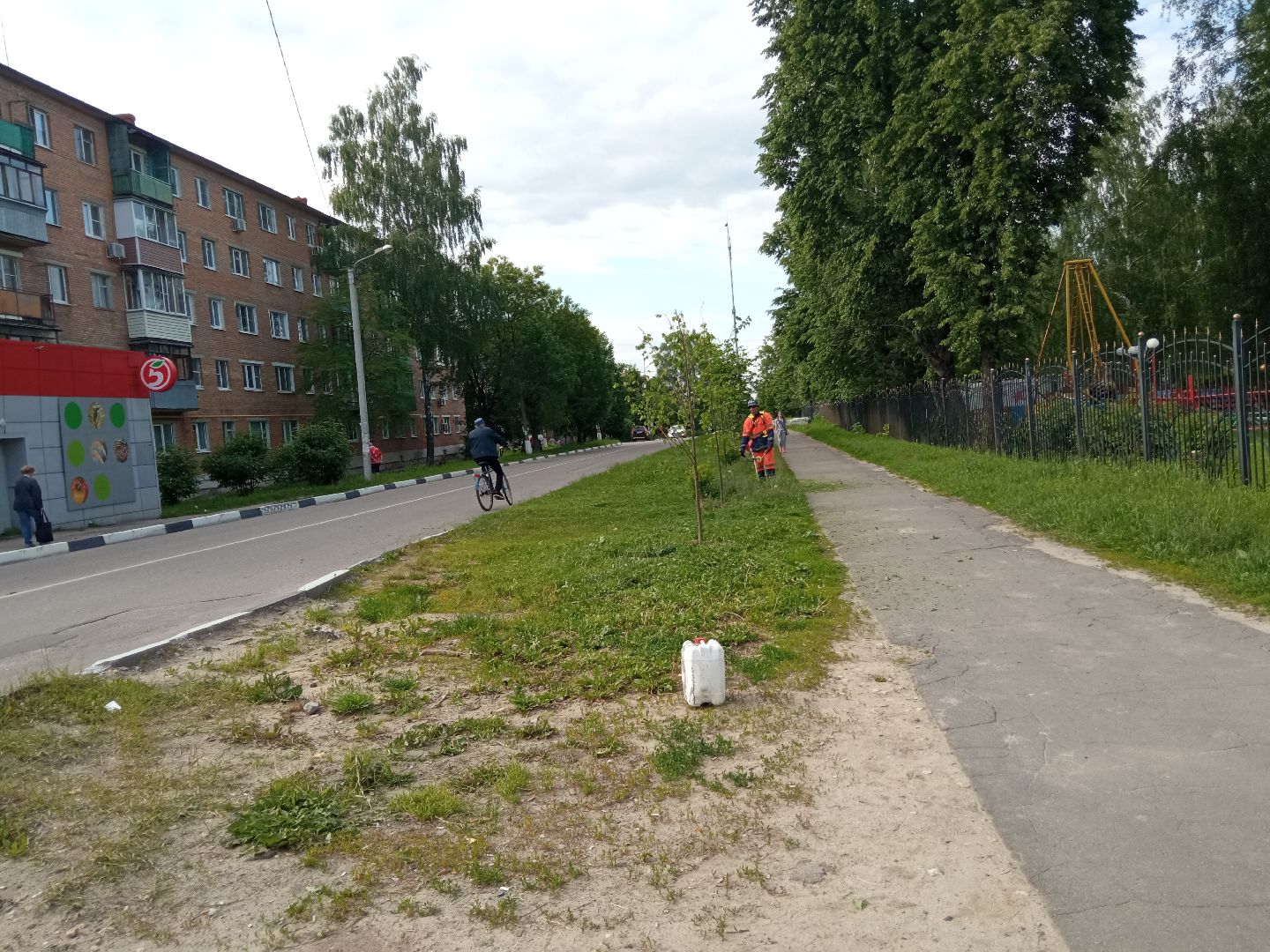 Павловский посад, городской округ Павловский Посад, трава, покос, уборка