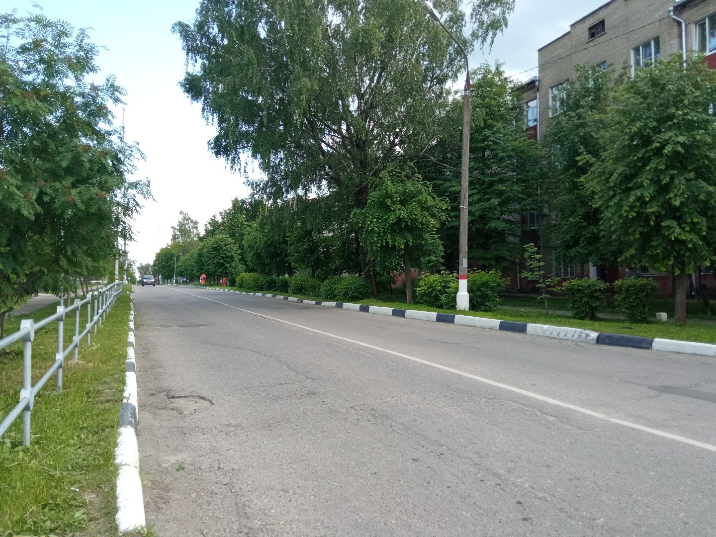 Павловский посад, городской округ Павловский Посад, трава, покос, уборка