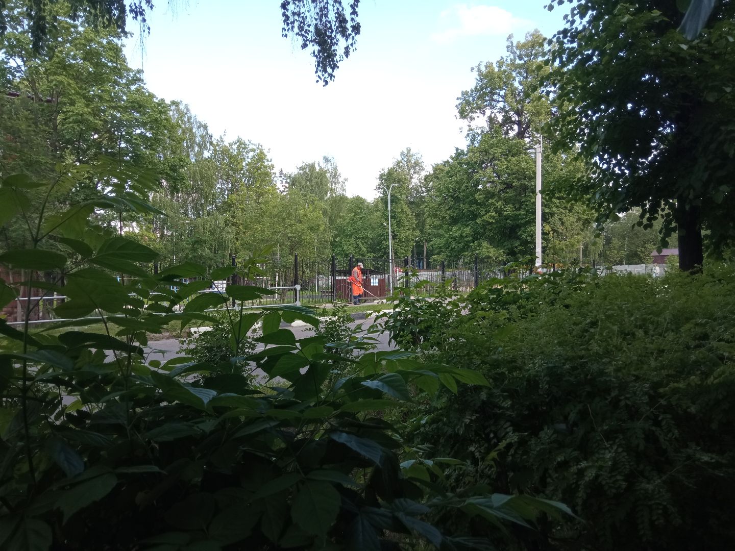 Павловский посад, городской округ Павловский Посад, трава, покос, уборка