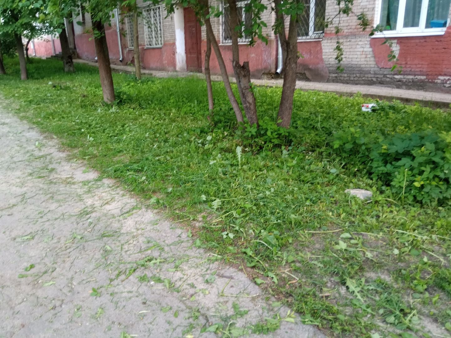 Павловский посад, городской округ Павловский Посад, трава, покос, уборка