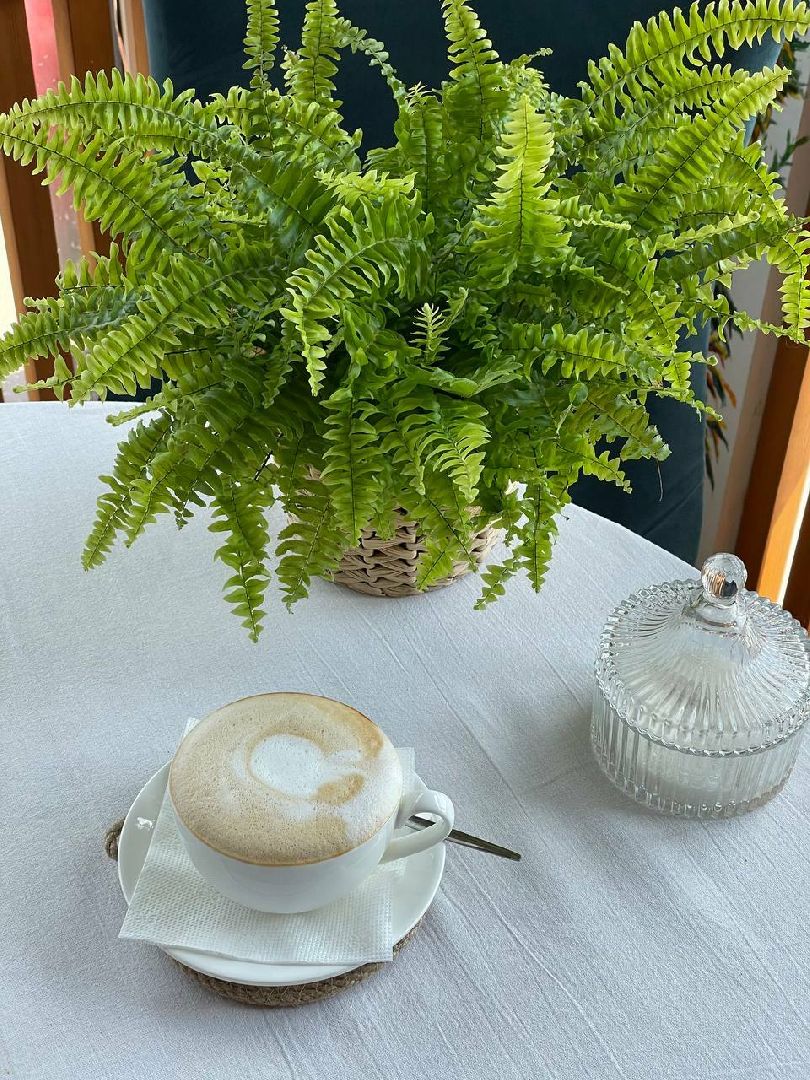 Солнечногорск, здоровье, кофе, зависимость, врач