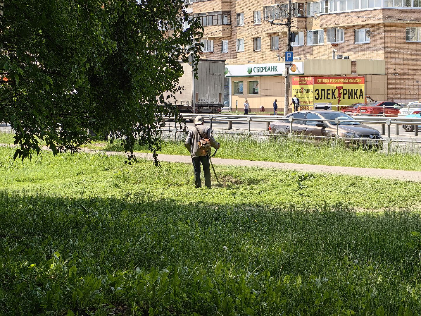 Газон, благоустройство, покос, трава