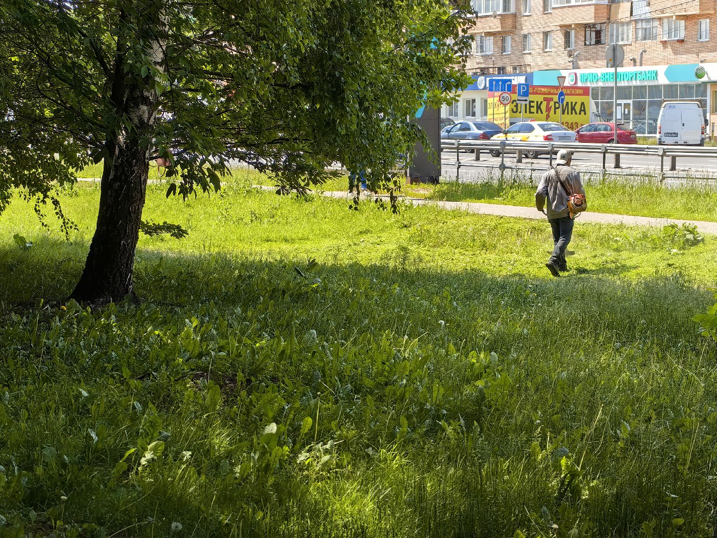 Газон, благоустройство, покос, трава