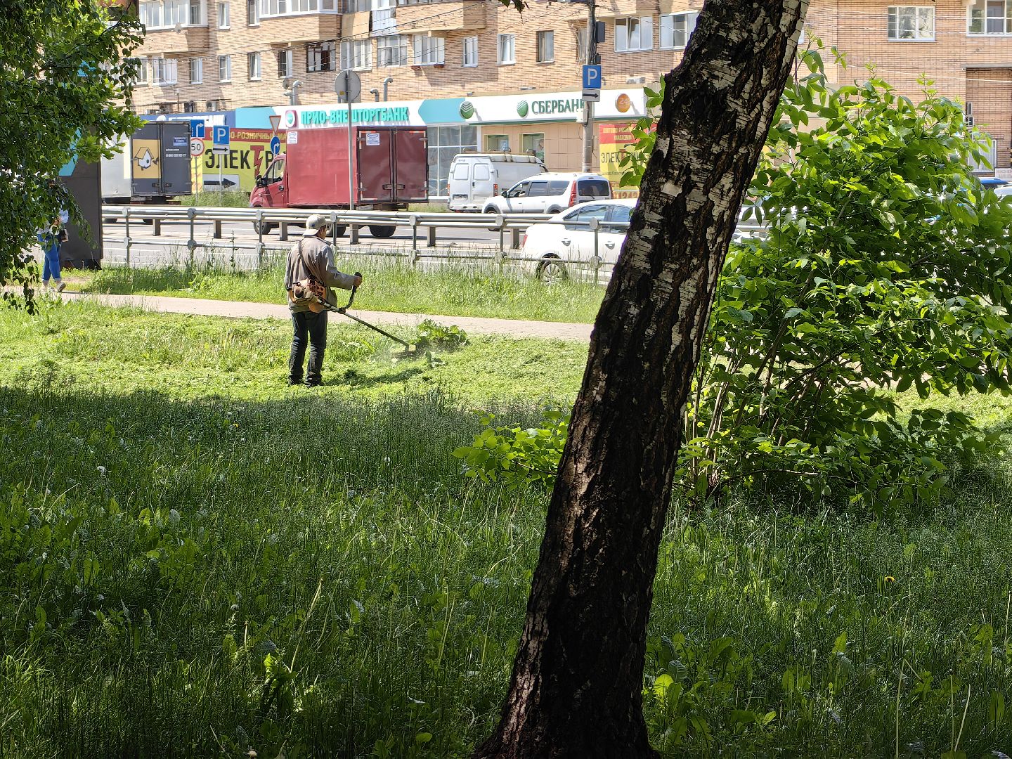 Газон, благоустройство, покос, трава