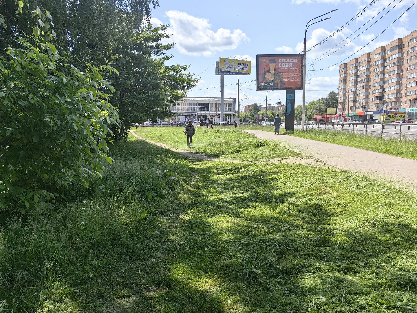 Газон, благоустройство, покос, трава