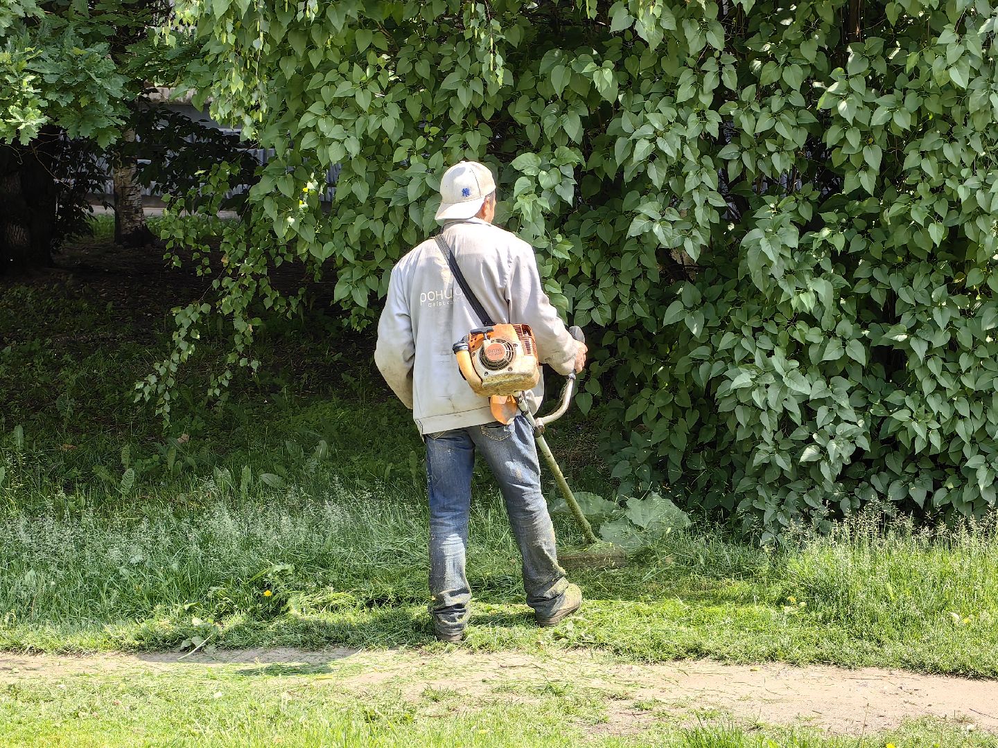 Газон, благоустройство, покос, трава